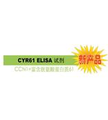 CYR61 是診斷 / 判斷乳腺癌惡化的腫瘤標(biāo)志物。