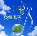 負氧離子在線監(jiān)測系統(tǒng) 衡量一個公園空氣優(yōu)劣的神器