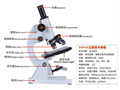 供應(yīng)廣州捷星生物教學儀器生物顯微鏡02040